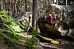 Boulder-Ambiente wie man es sich vorstellt: der Wald von Fontainebleau (Foto: Joschu Gosda)