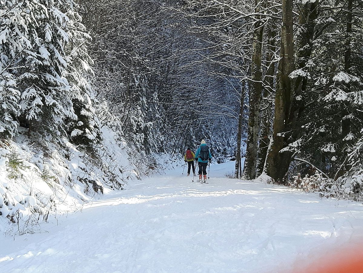 Skiabfahrt auf der Forststraße nur mit Stoaski und großer Vorsicht