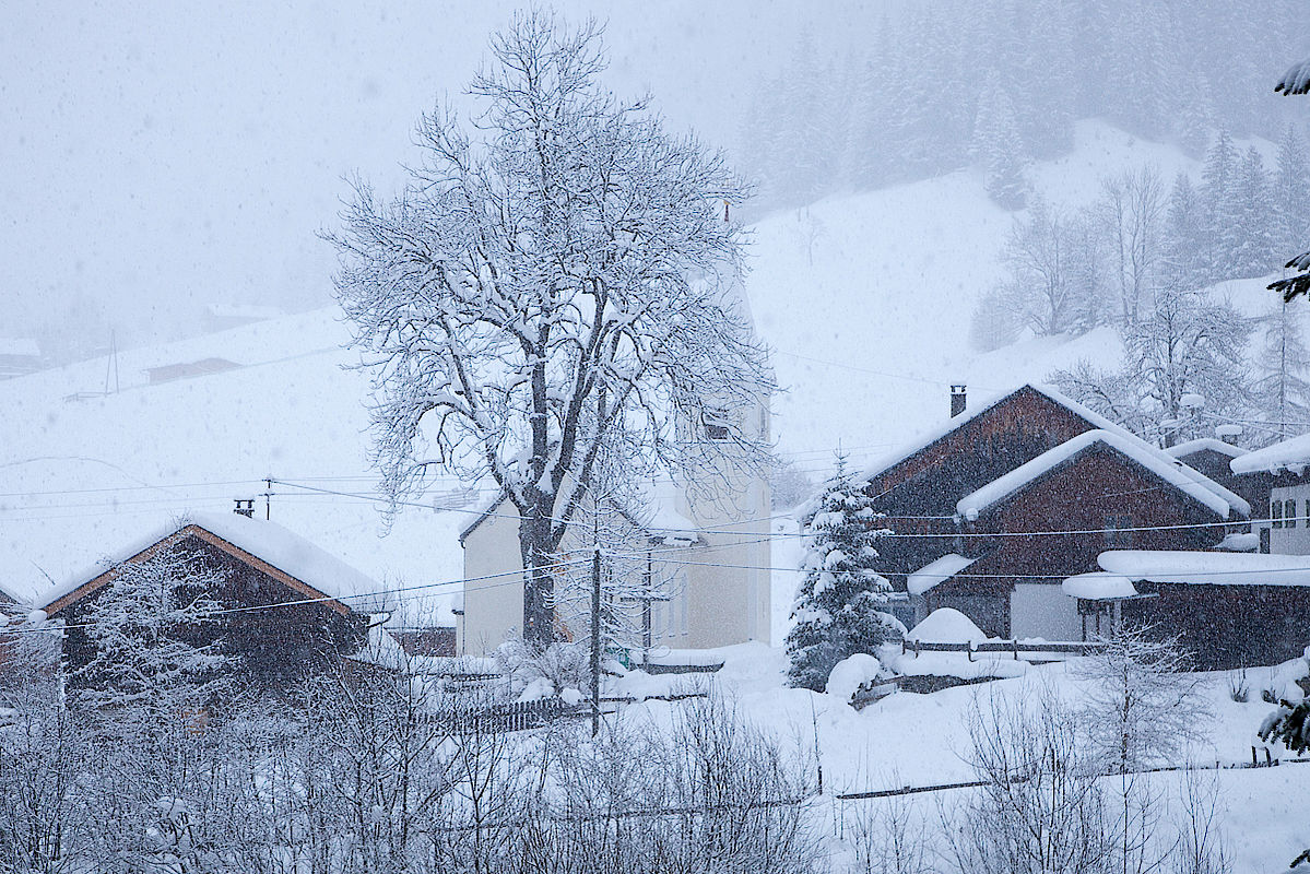 Dichter Schneefall im Pfafflarer Ortsteil Boden beim Aufstieg zur Dremelscharte.