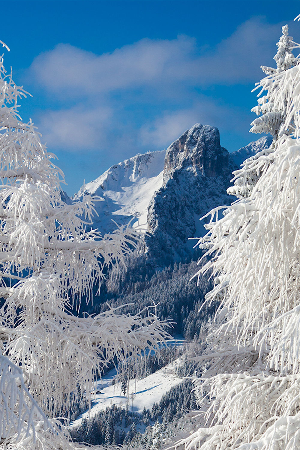 Kostenlose Hintergrundbilder Fur Den Desktop Winter Hier auf pexels findest du viele freie und kostenlose. kostenlose hintergrundbilder fur den