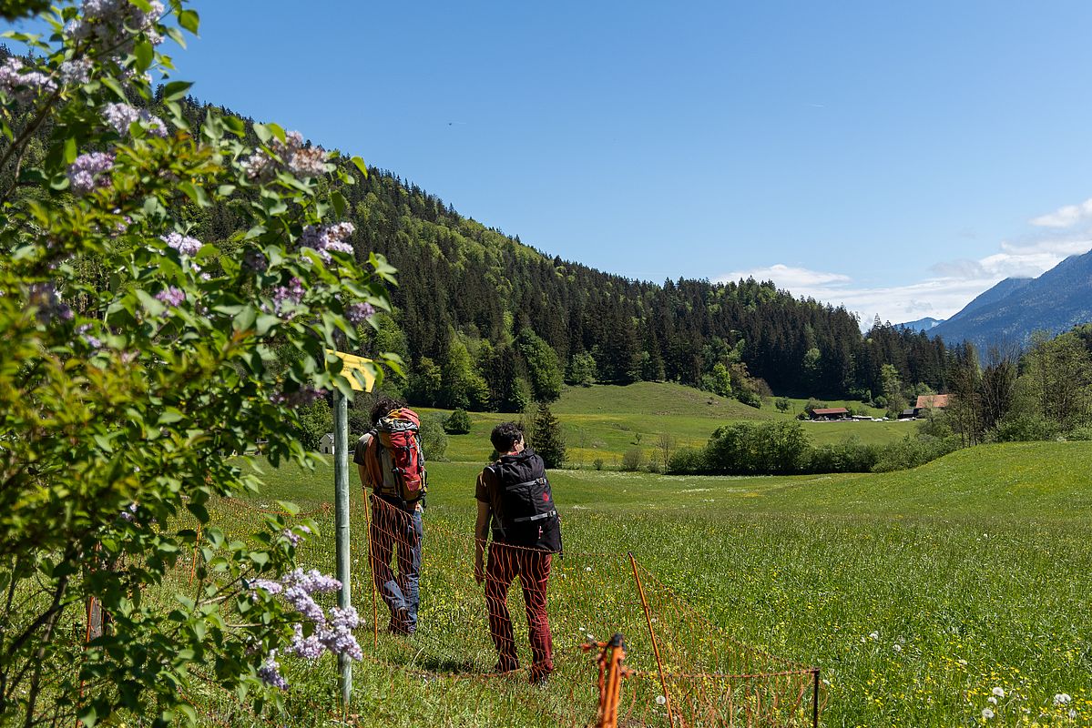 Zustieg zum Ramserer Stoa