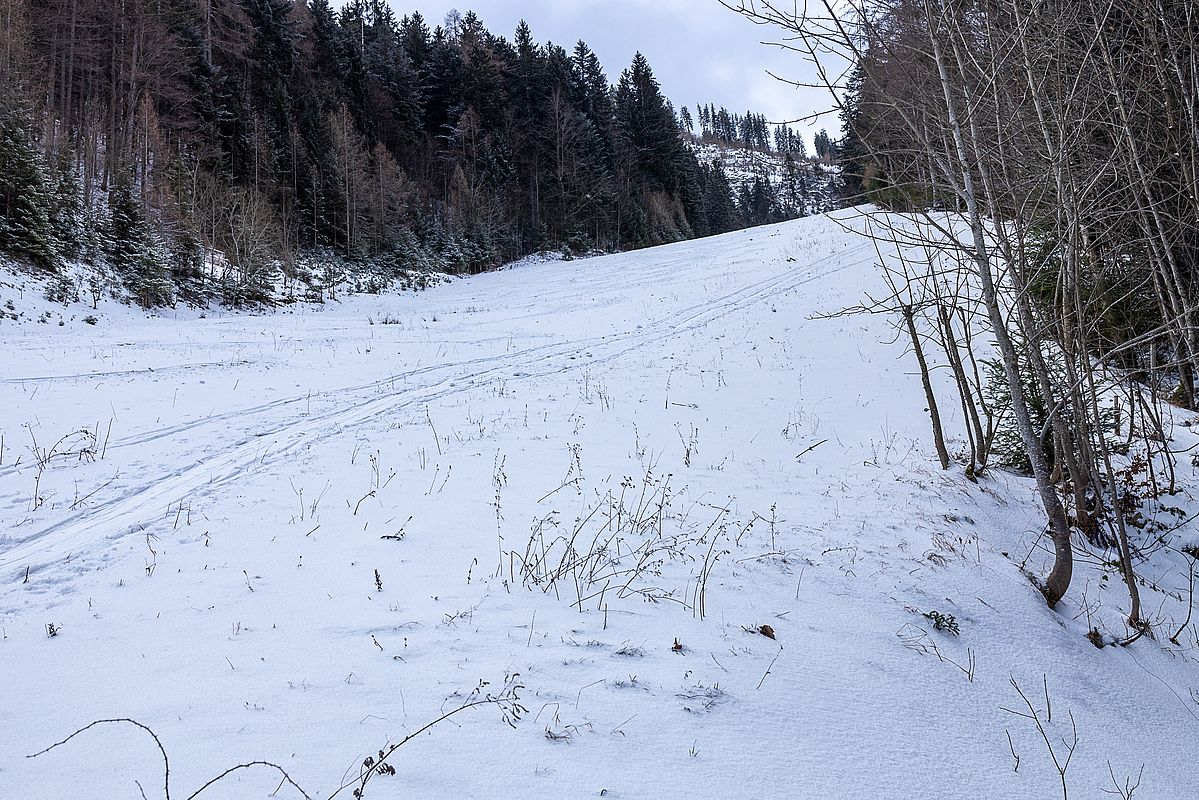 Die Schneise im unteren Teil