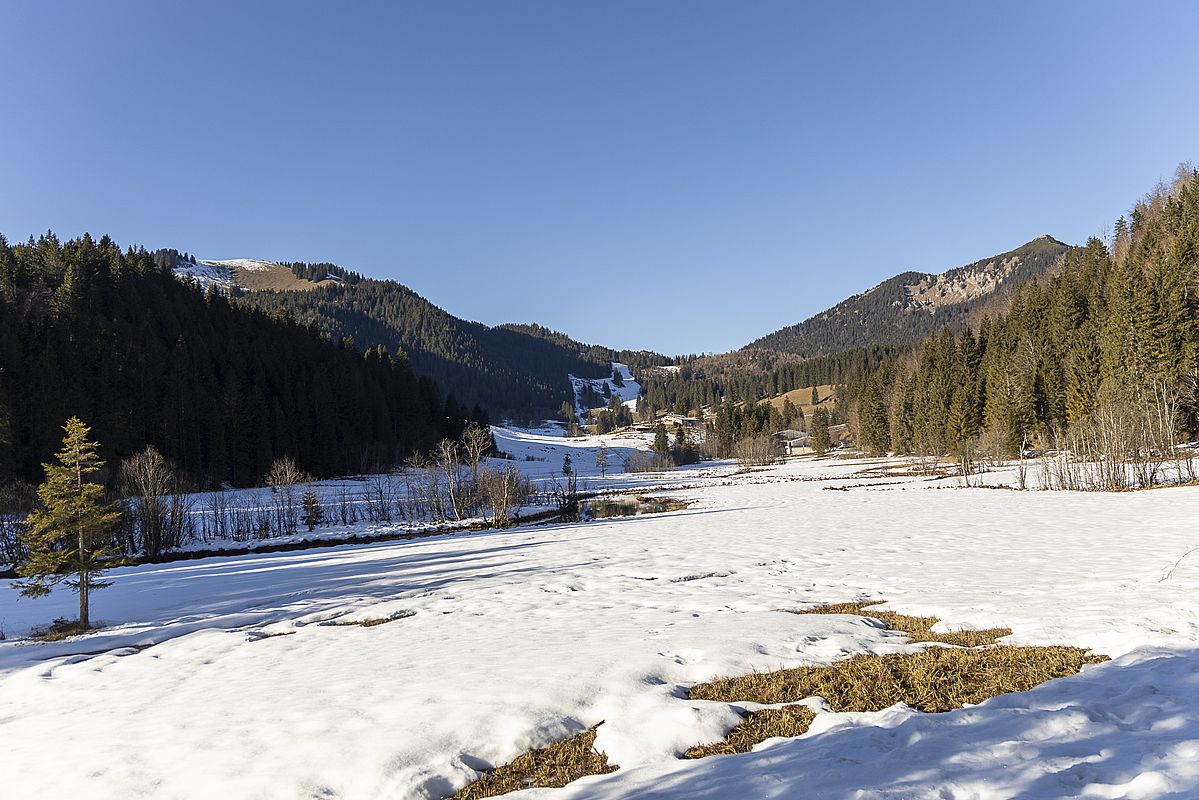  in den kalten Talböden liegt noch der Schnee - hier unterhalb der Albert-Link-Hütte