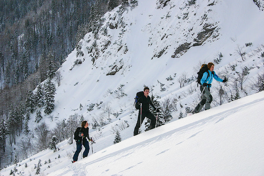 Aufstieg oberhalb der Wuhrsteinalm 