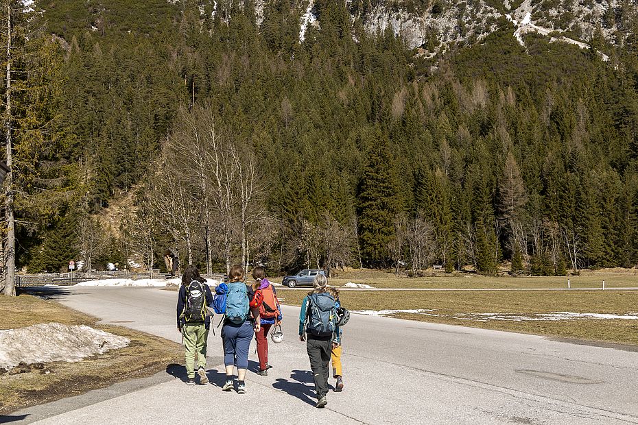 Blick vom Parkplatz zum Fels.