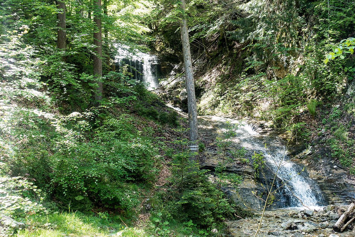 Viel Wasser im Fuchslugergraben