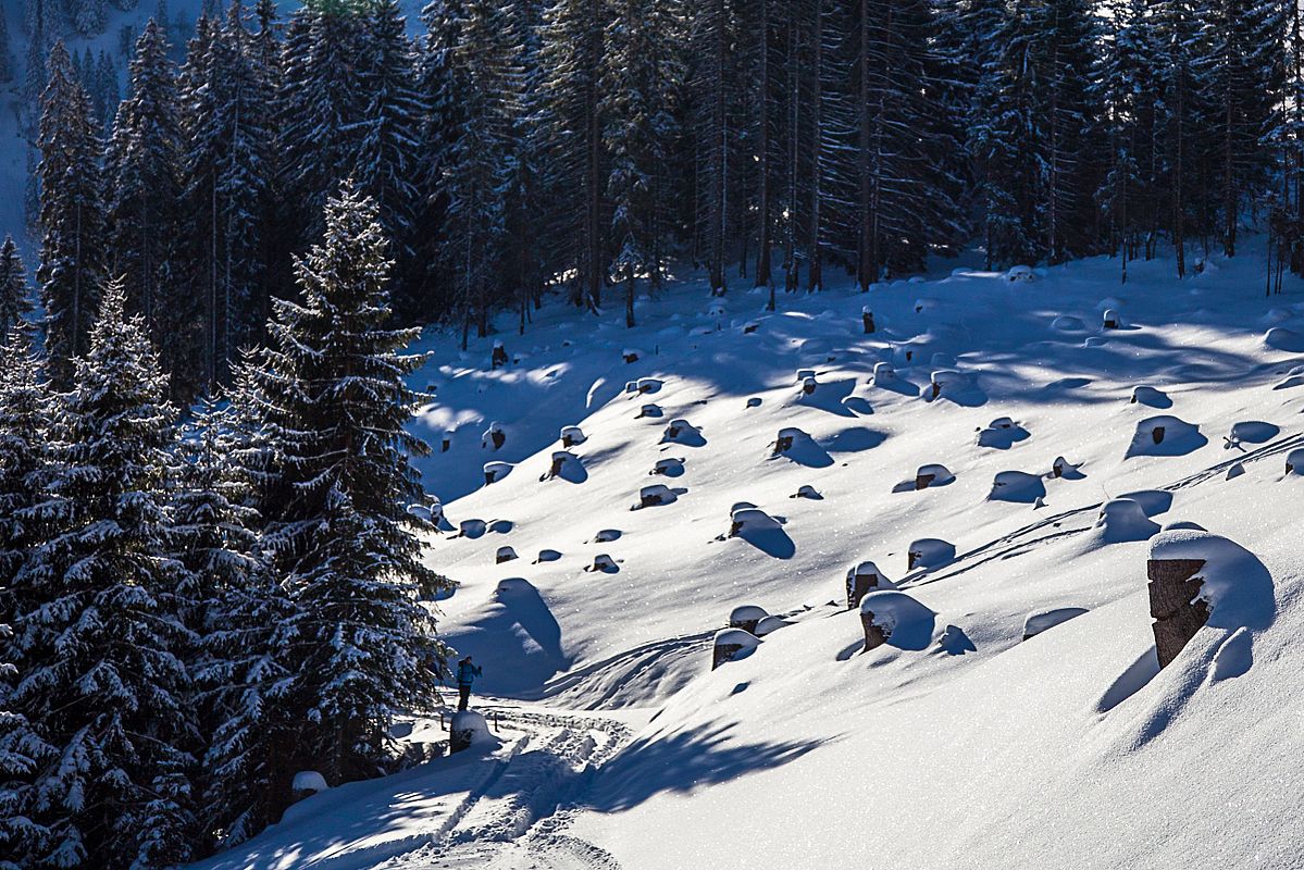 Aufstieg zum Roßkopf unterhalb des Grünsees.