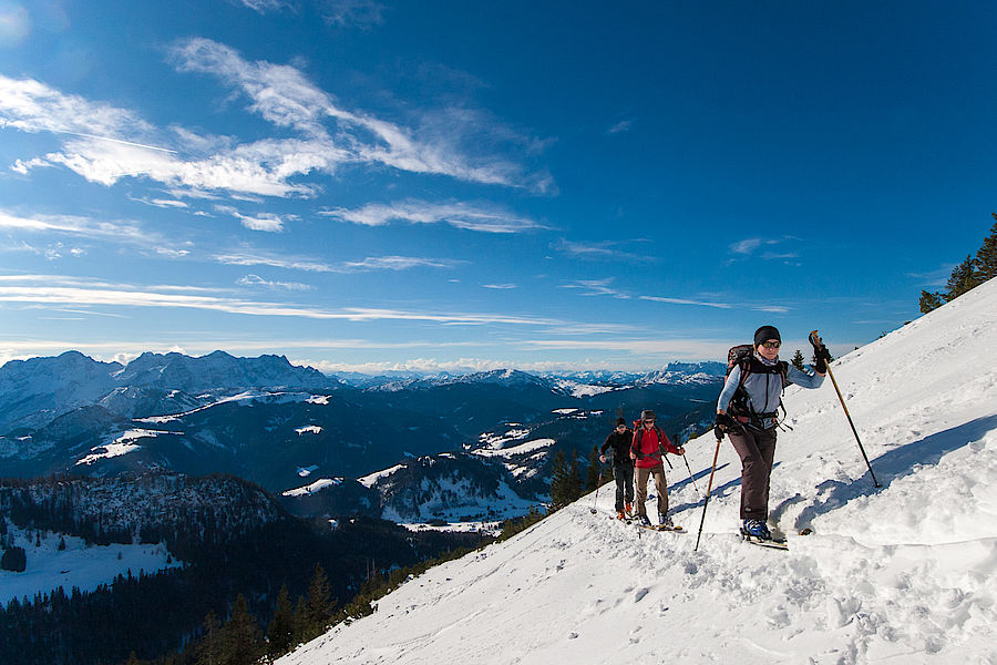 Aufstieg zum Reifelberg oberhalb der Hochalm 