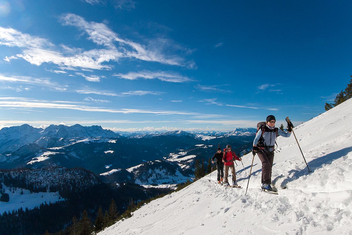 Aufstieg zum Reifelberg oberhalb der Hochalm 