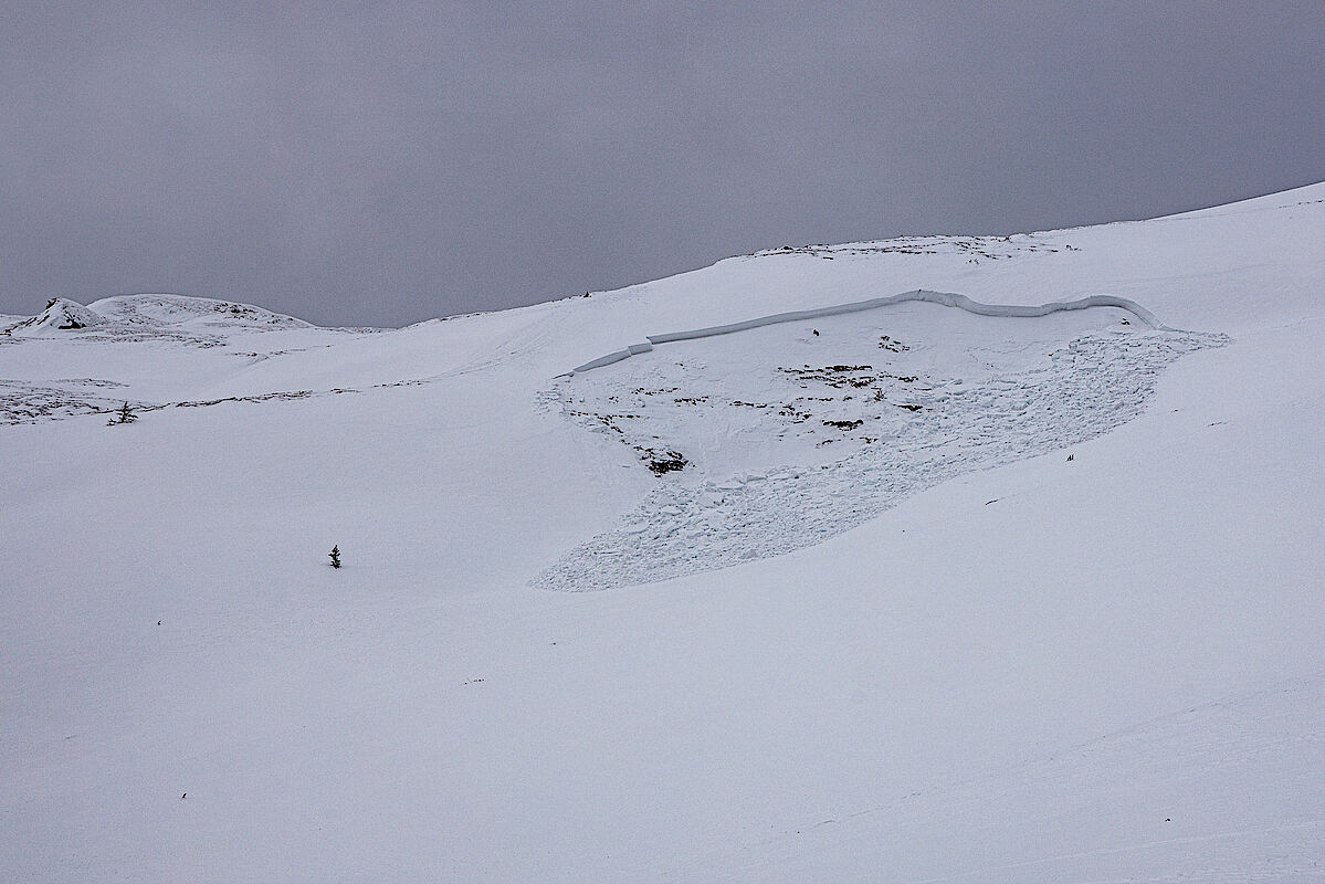 Mehrere Schneebrettabgänge des Triebschnees der letzten Tage