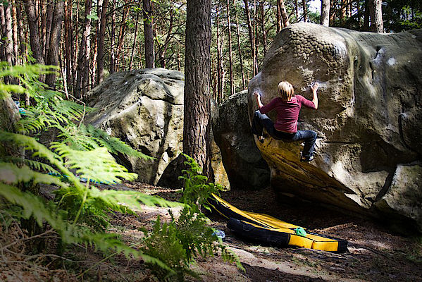 Boulder-Ambiente wie man es sich vorstellt: der Wald von Fontainebleau (Foto: Joschu Gosda)