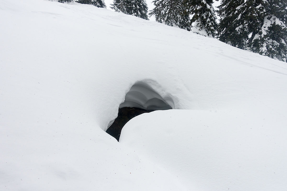 Ein freigetautes Loch in der Schneedecke über einem Karstloch