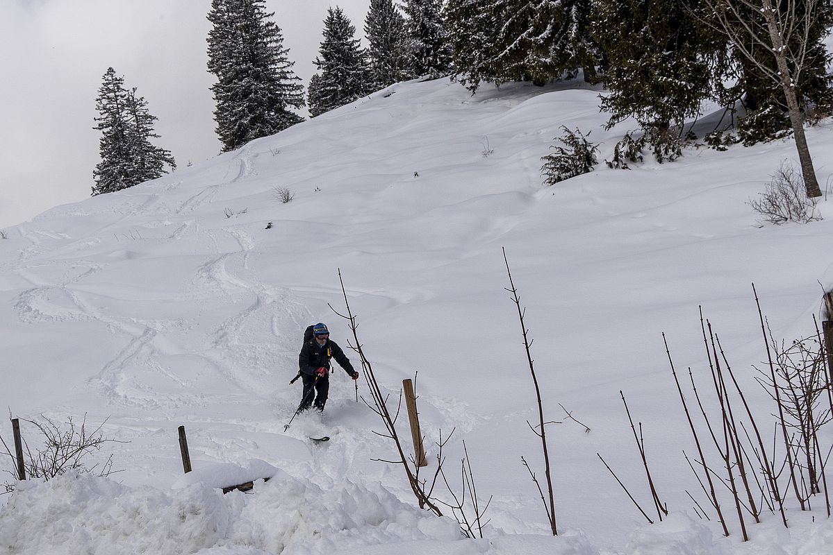 Gut fahrbarer, pappiger Pulver auf den letzten Metern zur Straße