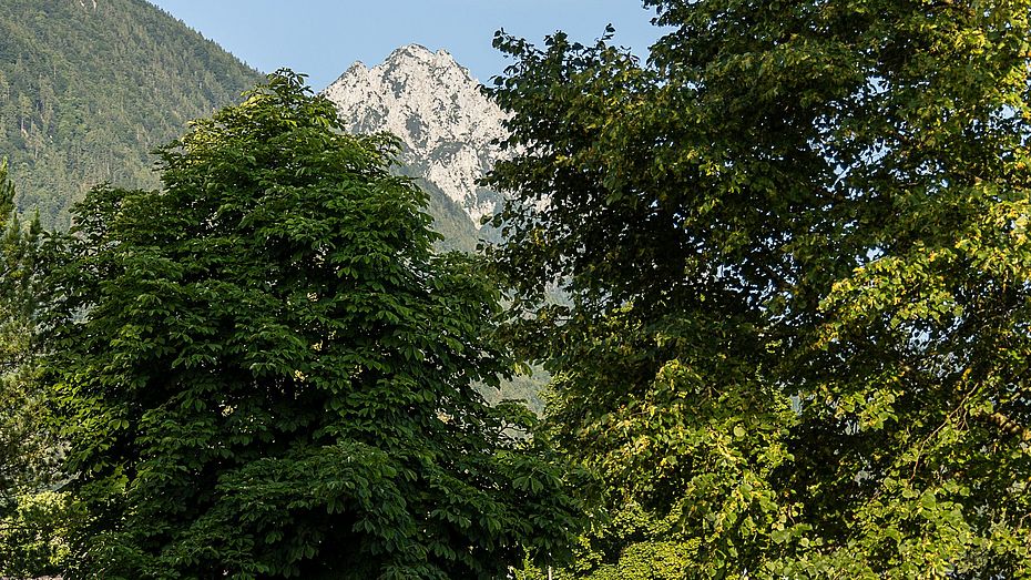 Los gehts Start am sonnigen Sonntagmorgen in Piding