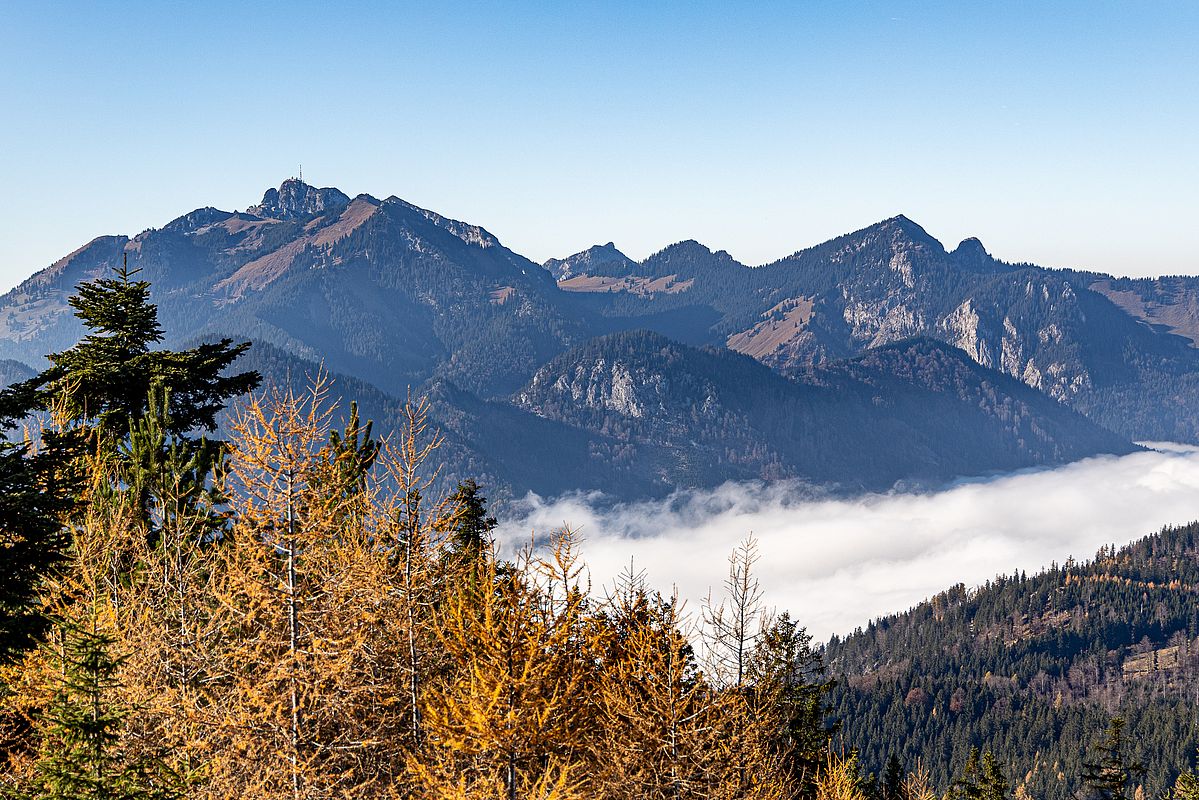 Herbstlicher Blick zum Wendelstein