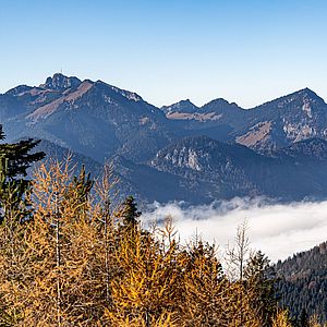 Herbstlicher Blick zum Wendelstein