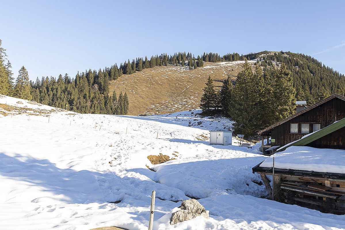 Blick zur Brecherspitze