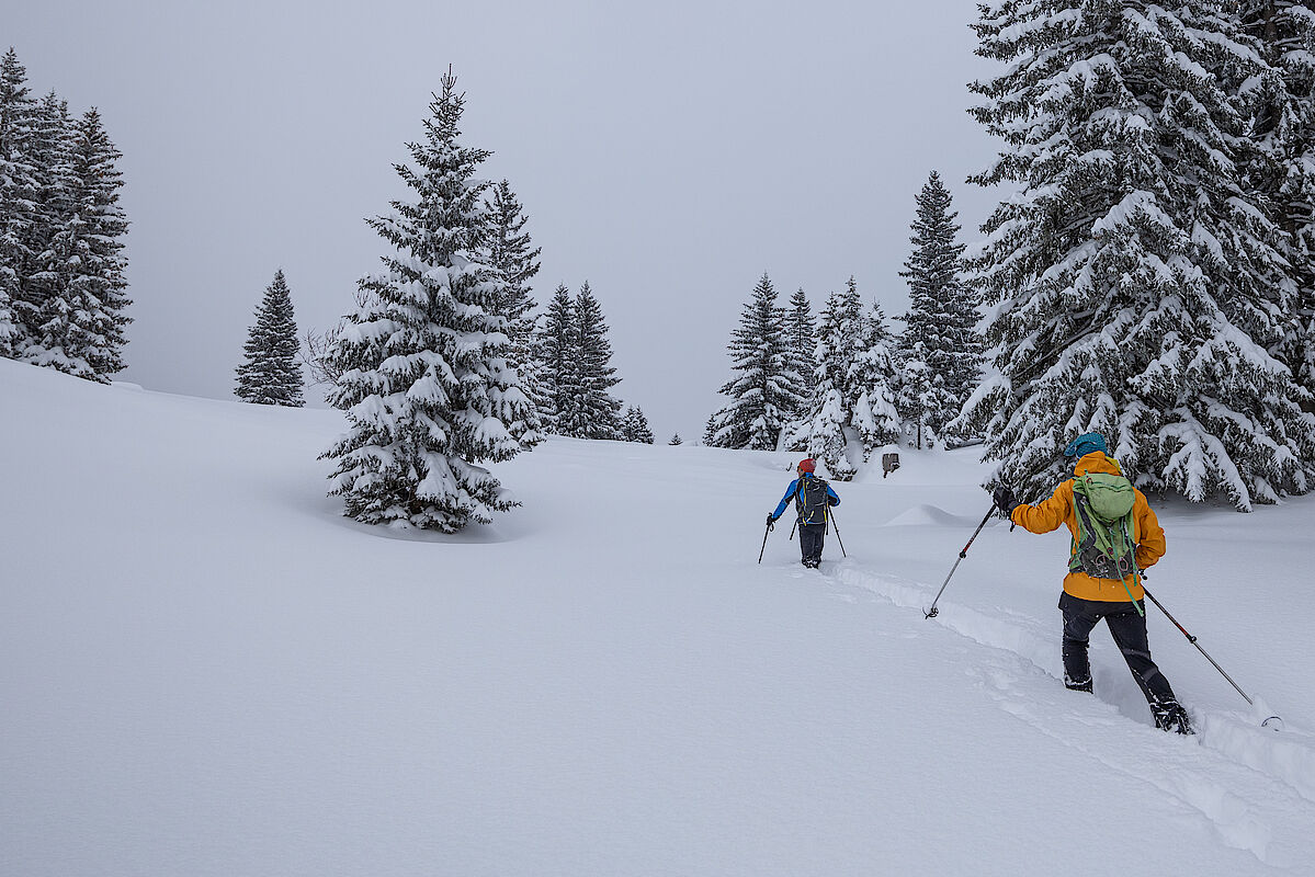 Wintermärchen im Krottental