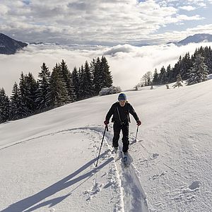 Oberhalb der Schoisseralm - wäre auch ein Traumhang für die Abfahrt gewesen heute