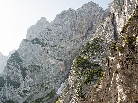 Die Fleischbank von Nordwesten, der Steilaufschwung im rechten oberen Teil ist die Nordwestwand, die aus dem Schneeloch zugänglich ist. Die Fleischbank von Nordwesten, der Steilaufschwung im rechten oberen Teil ist die Nordwestwand, die aus dem Schneeloch zugänglich ist.