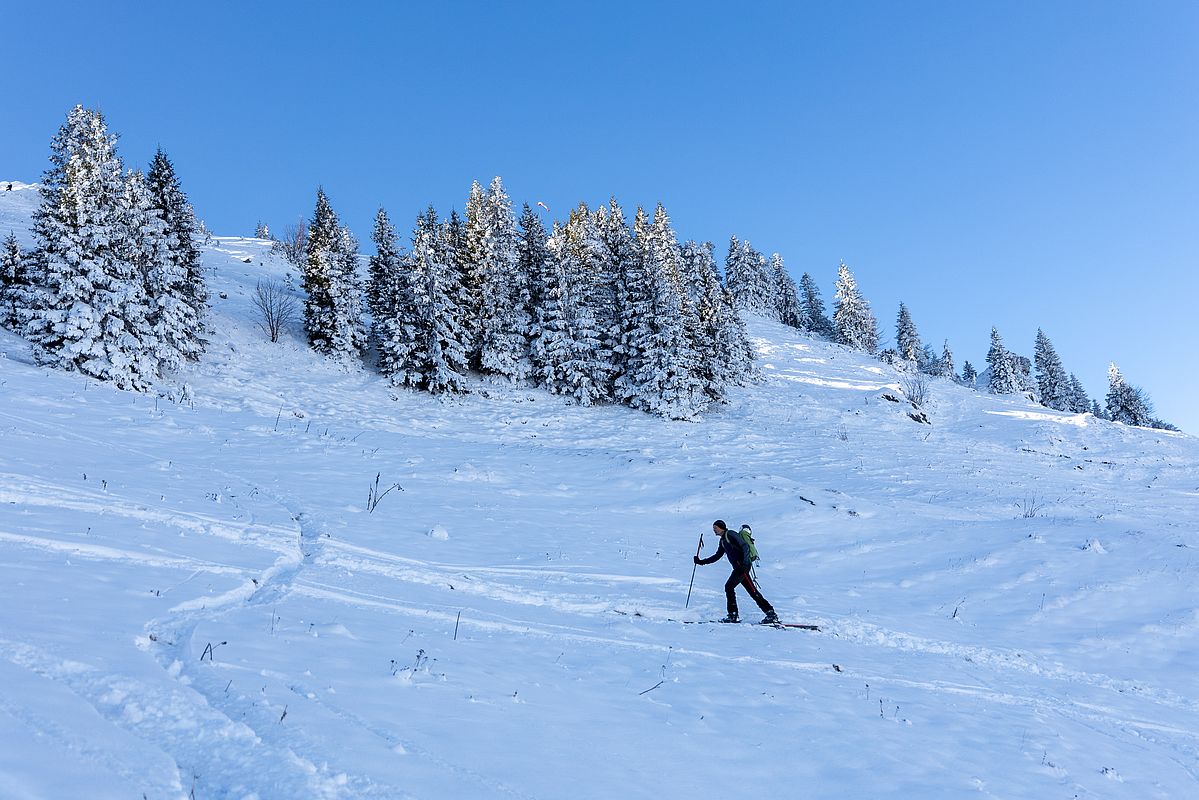 Aufstieg zum Vogelsang