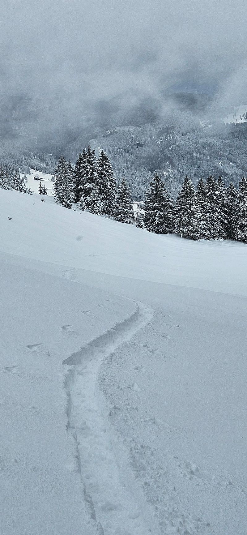 Einsame Aufstiegsspur zum Vogelsang, eine Seltenheit