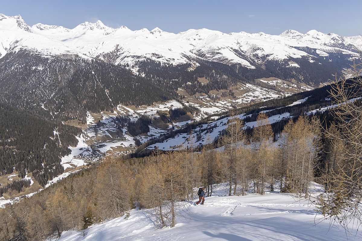 Tolle Ausblicke oberhalb der Waldgrenze auf der Berge von Davos