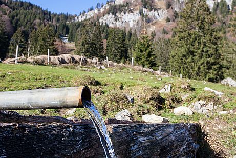 An der Elland Alm An der Elland Alm