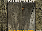 Kletterführer "Montsant-Vertiente Sur"