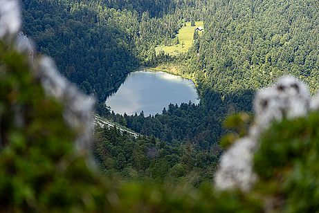 Das kühle Nass leuchte herauf Tiefblick auf den Frillensee