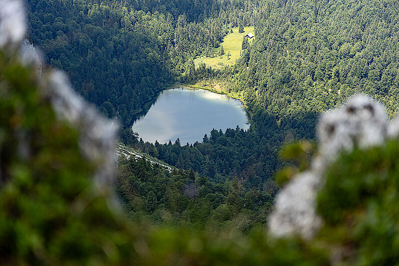 Tiefblick auf den Frillensee