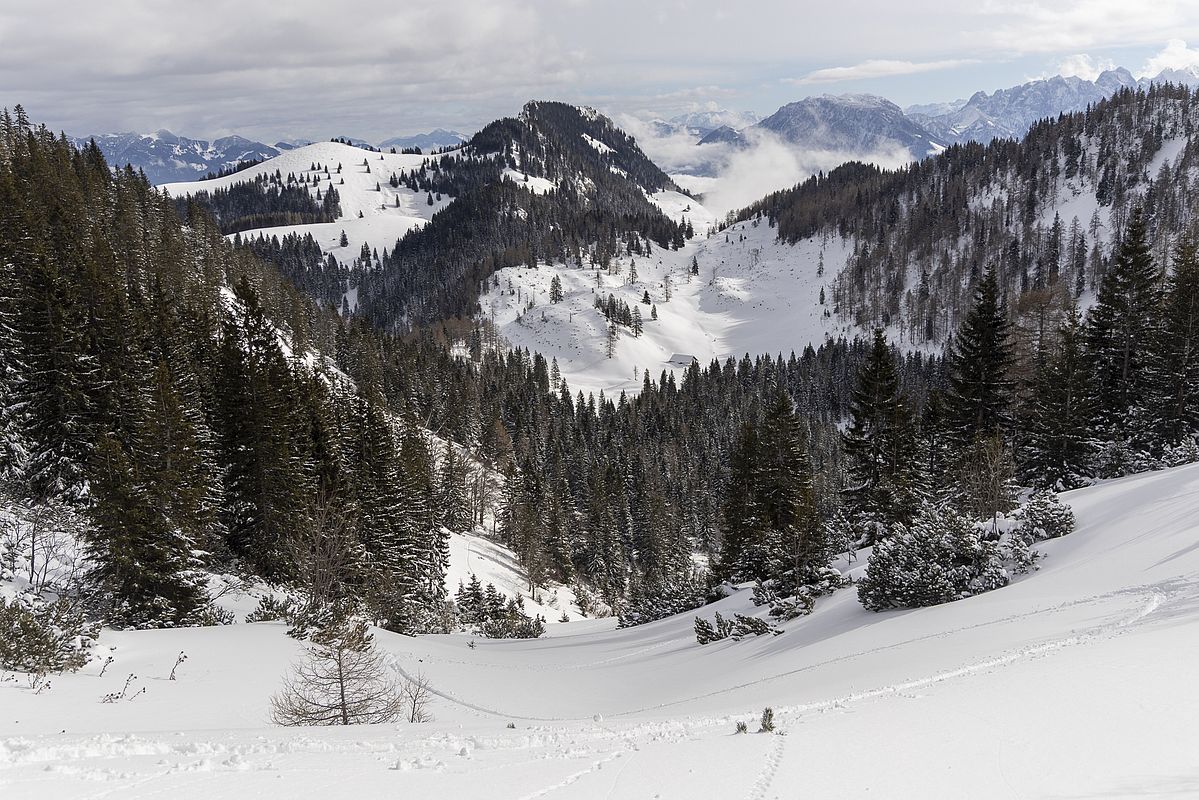 Blick hinab zur Seeonalm mit unserer Aufstiegsspur