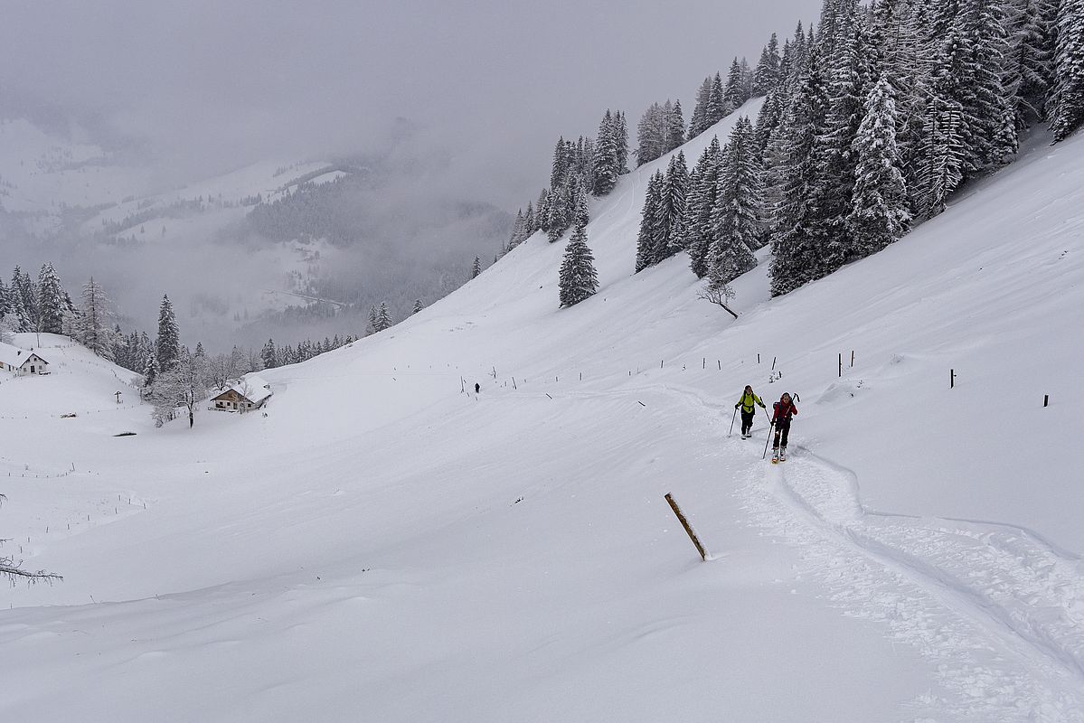 Blick zurück zur Seelackeralm