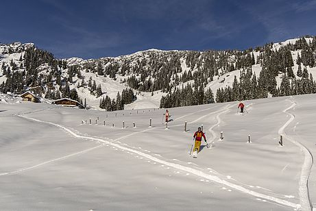 Gemütliches Wedeln über die Krottentaler Wiesen