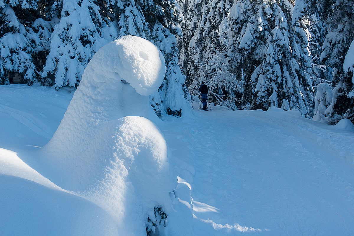 Schneemonster