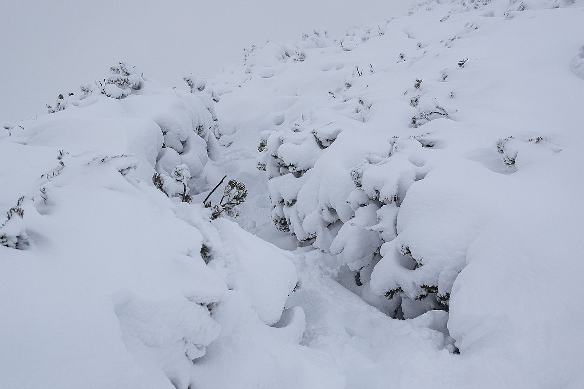 Der Sommerweg zum Gipfel.