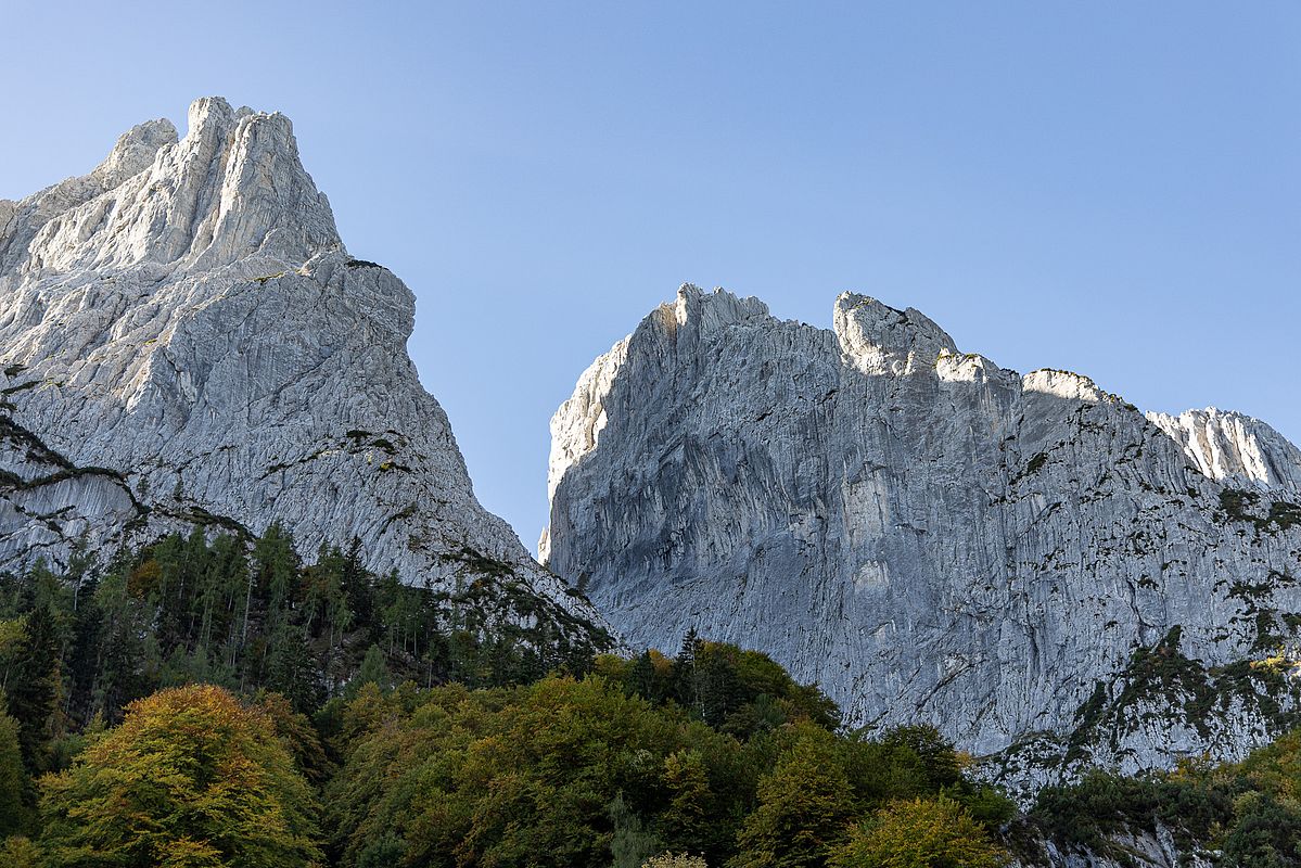 Kurz oberhalb der Griesneralm