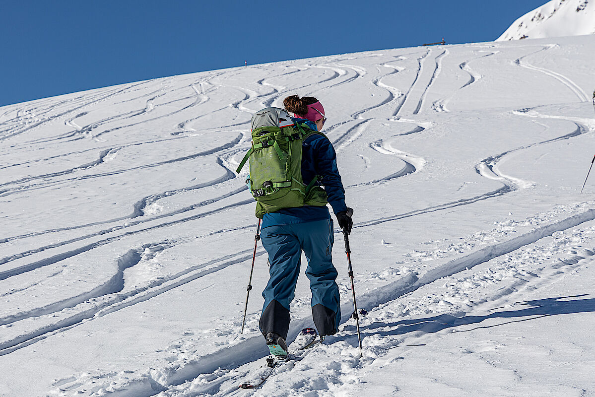 Schöner Pulverschnee im flachen Gelände oberhalb des Waldes