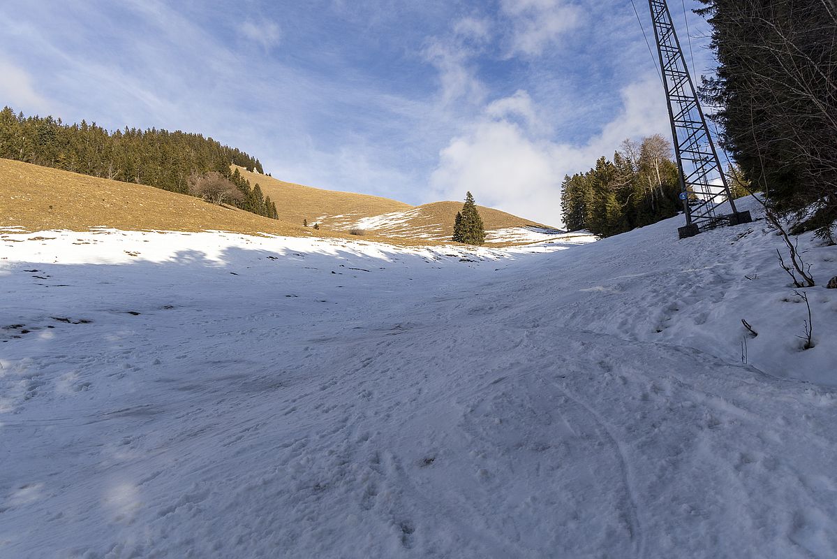 Im Schatten der Bäume hält sich der Schnee noch, während die Südhänge komplett aper sind.