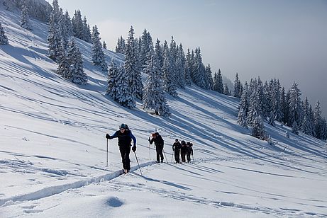 Spuranlage im Aufstieg zum Lämpersberg Spuranlage im Aufstieg zum Lämpersberg