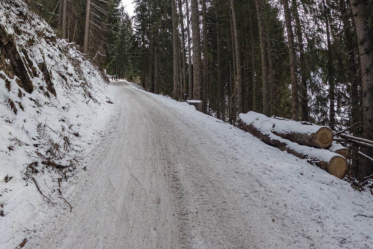 Rodelbahn Priener Hütte