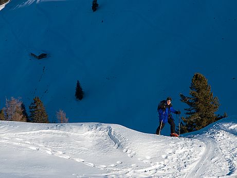 Endlich Sonne - nach dem langen Aufstieg durch den schattigen Greiter Graben 