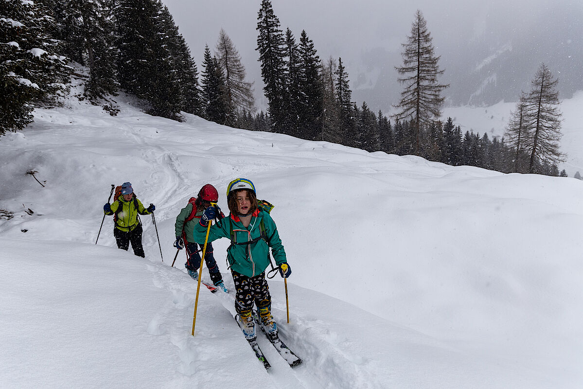 Kurz vor unserem Umkehrpunkt, bevor man durch ein letztes kurzes Waldstück mit wenig Schnee ins freie Gipfelgelände kommt