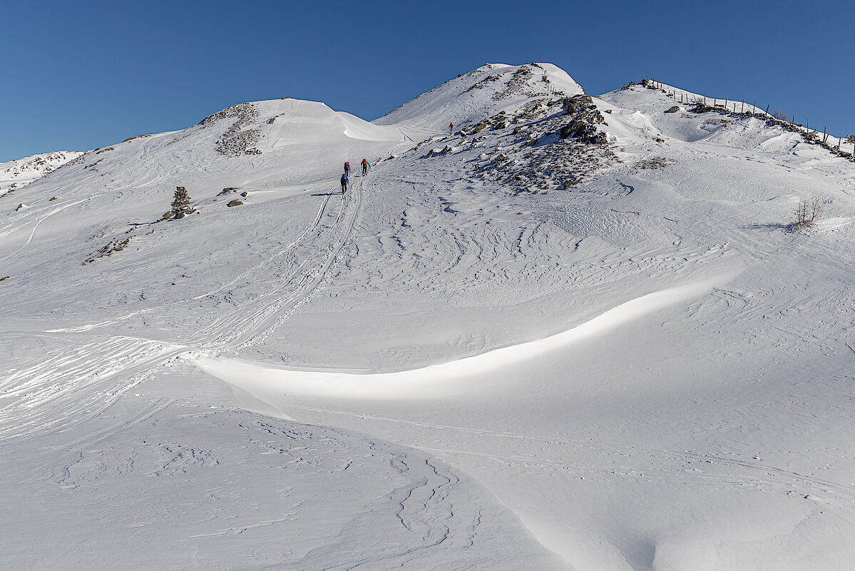 Windeinfluss oberhalb der Waldgrenze