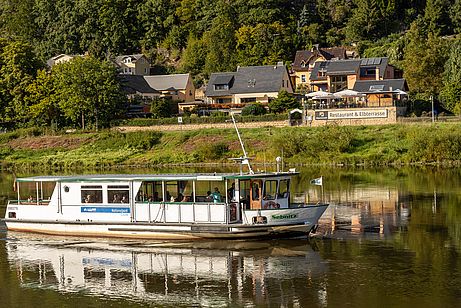 Die Elbfähre von Bad Schandau