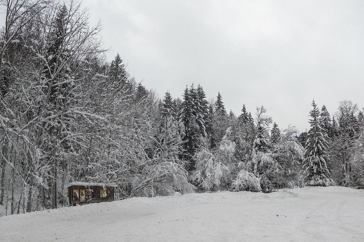 Wintermärchen am Waldparkplatz