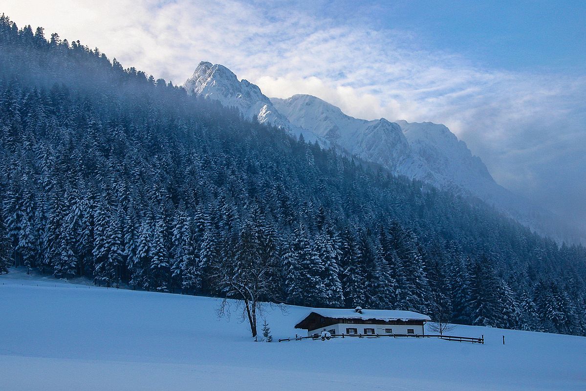 Schattiger Ausgangspunkt oberhalb vom Walchsee 