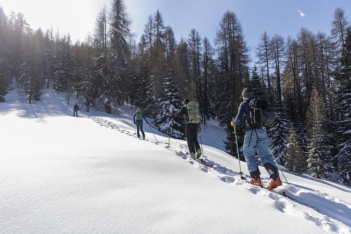 Schöne Lichtungen mit Pulverschnee