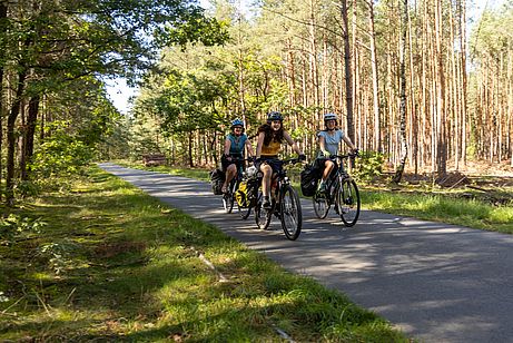 Schöne Radwege durch langweilige Kiefernwälder