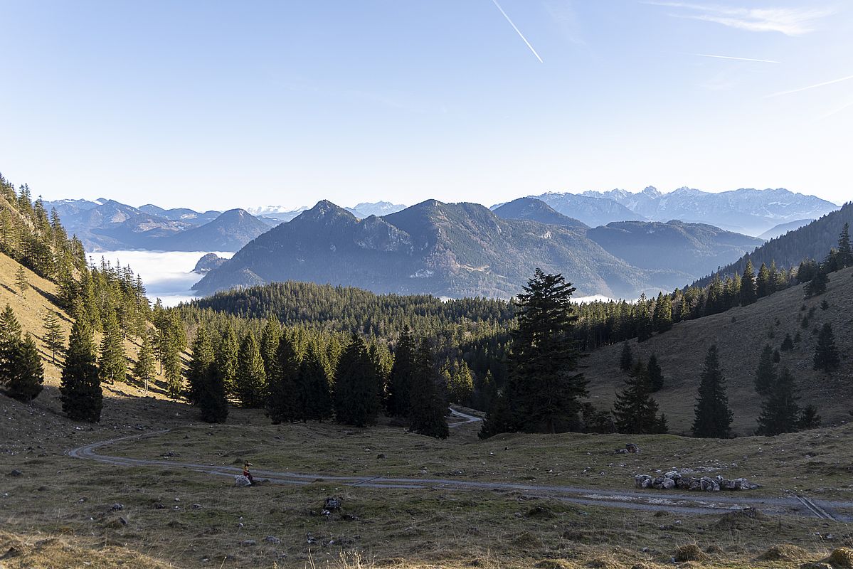 Blick von der Lechneralm zum Großen Riesenkopf